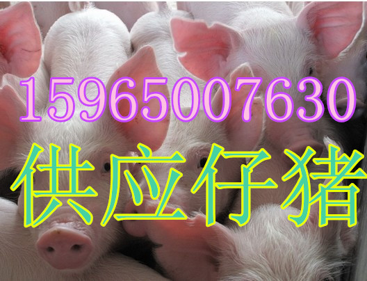 5_副本0.jpg