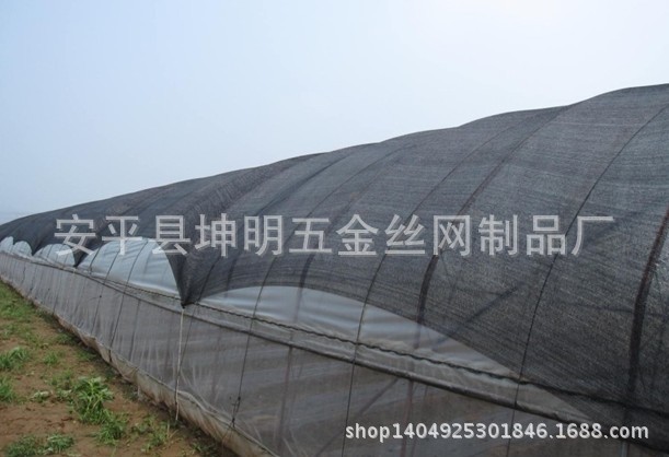 遮陽網01