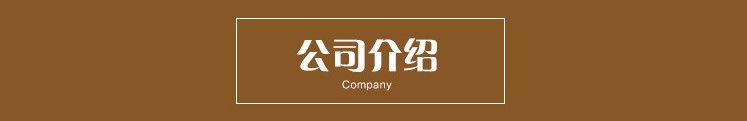 公司介紹標(biāo)題