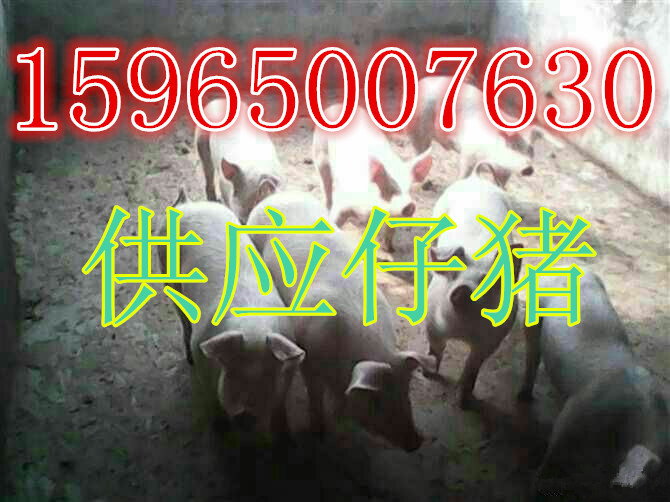 3_副本6.jpg