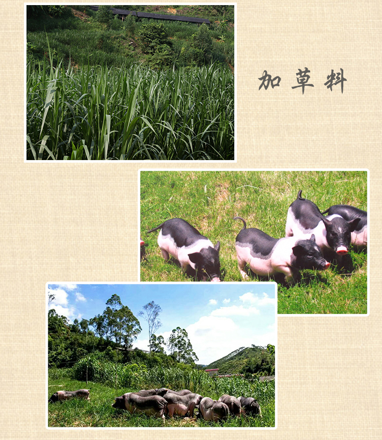 臘肉詳情頁_06.jpg
