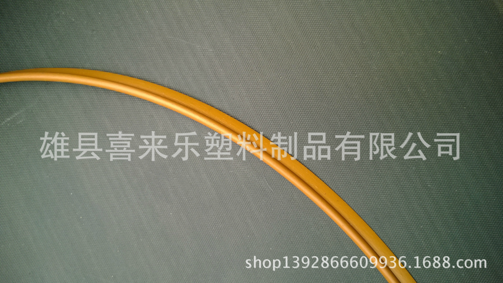 照片 061